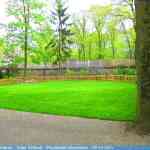 img-0913.jpg
