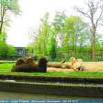 img-0914.jpg