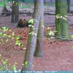 img-0920.jpg