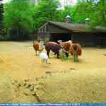 img-0926.jpg