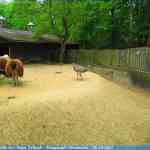 img-0927.jpg