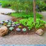 img-0932.jpg