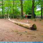 img-0936.jpg