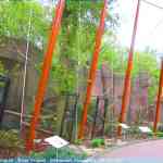 img-0941.jpg