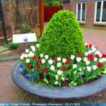 img-0943.jpg