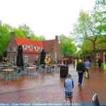 img-0945.jpg