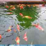 img-0948.jpg