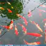 img-0949.jpg