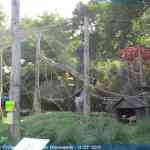 img-0878.jpg
