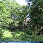 img-0881.jpg