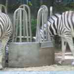 img-0890.jpg