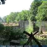 img-0891.jpg
