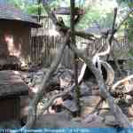 img-0892.jpg