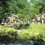 img-0896.jpg