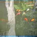 img-0897.jpg