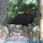 img-0901.jpg