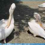 img-0908.jpg