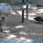 img-0912.jpg