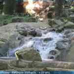 img-0930.jpg
