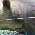 img-0931.jpg