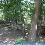 img-0932.jpg