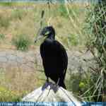 img-0948.jpg