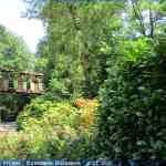 img-0951.jpg