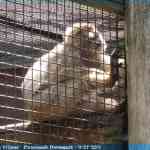 img-0952.jpg