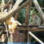 img-0953.jpg