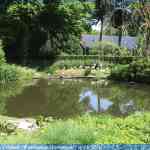 img-0958.jpg