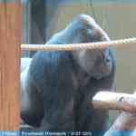 img-0961.jpg