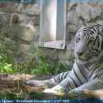 img-0972.jpg