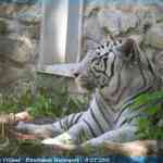 img-0973.jpg