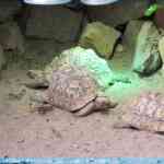 img-0974.jpg