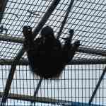 img-0977.jpg