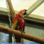 img-0980.jpg