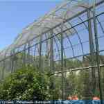 img-0984.jpg