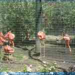 img-0985.jpg