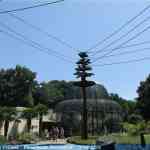 img-0986.jpg