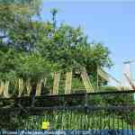 img-0998.jpg