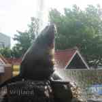 img-0595.jpg