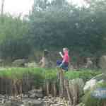 img-0671.jpg