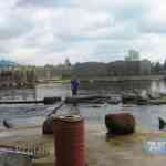 img-0785.jpg