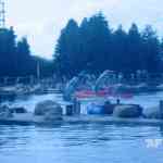 img-1082.jpg