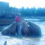 img-1122.jpg