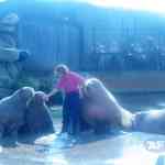 img-1136.jpg