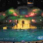 img-1186.jpg