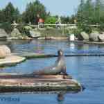 img-0474.jpg