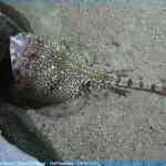 img-0163.jpg