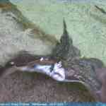 img-0164.jpg